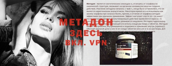 стаф Алексин