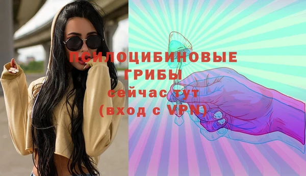 стаф Алексин